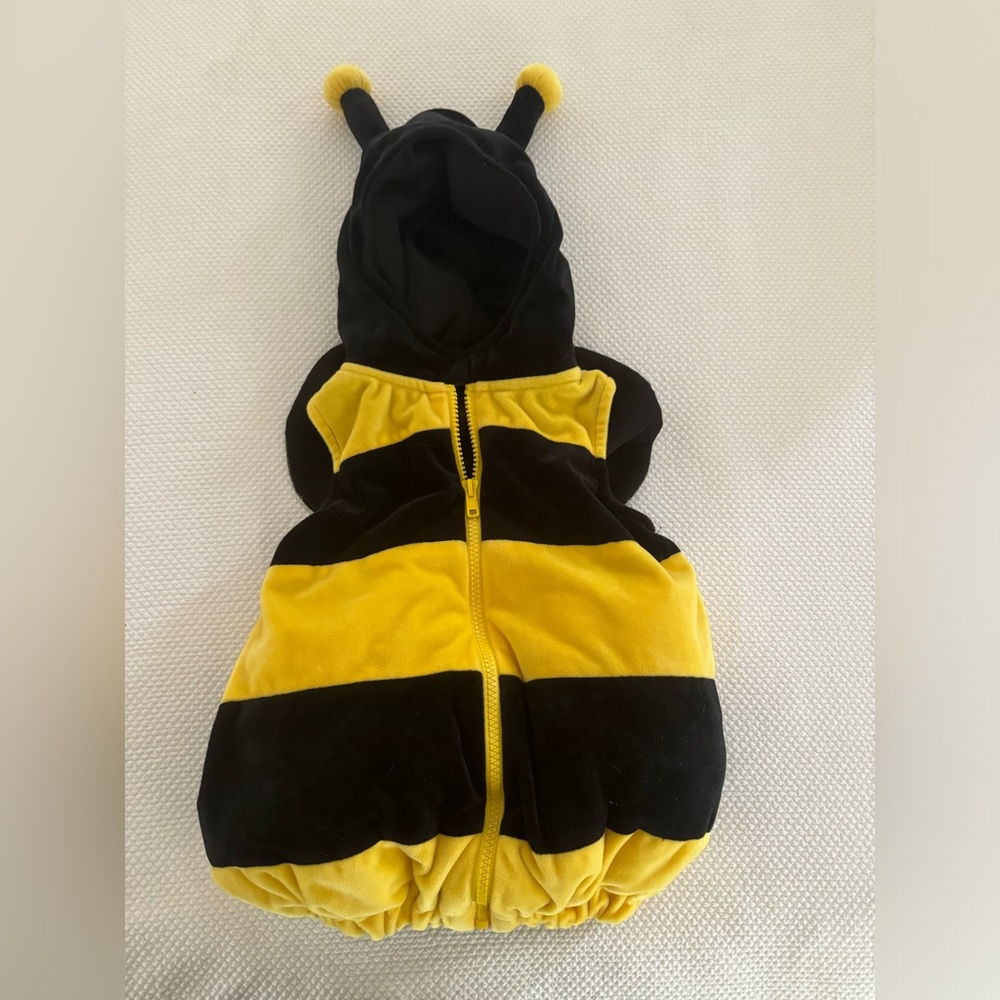 Cuteeest Bee Costume- my daughter looked adorable!